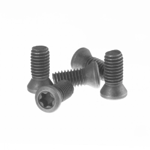 Parafuso Torx M5x12mm para Suporte de Pastilhas Parafuso Torx M5x12mm para Suporte de Pastilhas